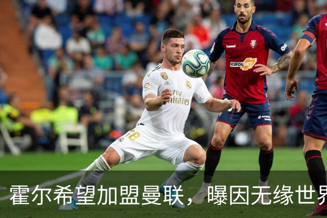 霍尔希望加盟曼联，曝因无缘世界杯与纽卡闹翻！转会费至少5000万